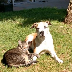 Meet your Posher, Mariah